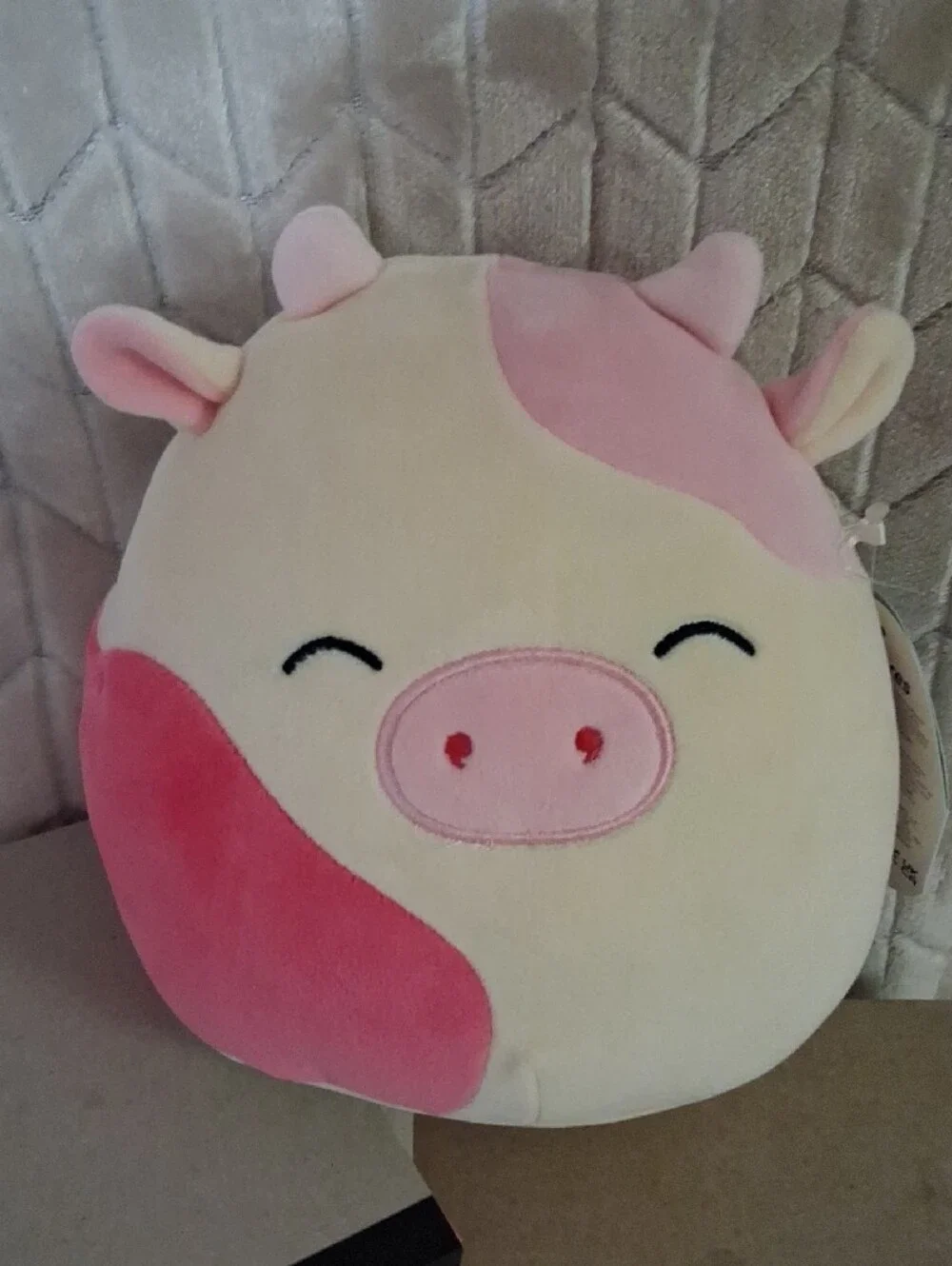 Squishmallow-Caedyn The 8